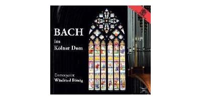 IM KOLNER DOM