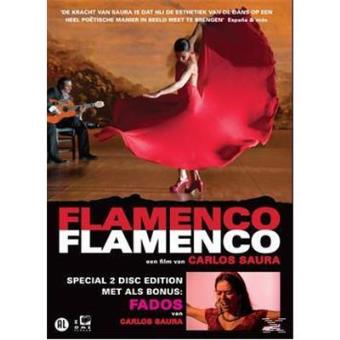 FLAMENCO FLAMENCO (2DVD) (IMP)