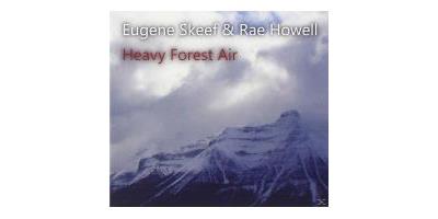 HEAVY FOREST AIR