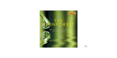 VOICES OF THE RAINFOREST
