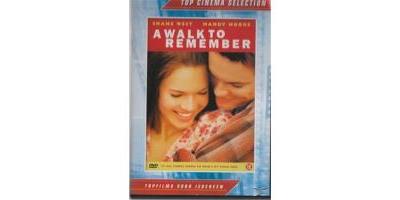 WALK TO REMEMBER-VN