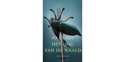 Het oog van de naald