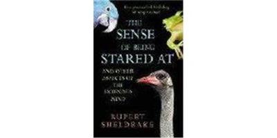 SENSE OF BEING STARED AT