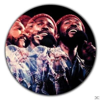 PD-LIVE/LP LTD