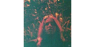 Peripheral Vision