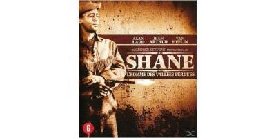B-SHANE-BILINGUE
