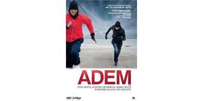 ADEM-VN