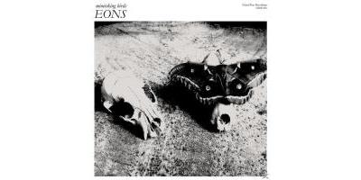EONS/LP
