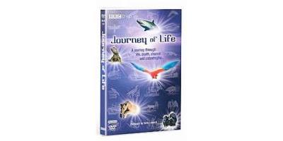 Journey Of Life