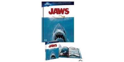 B-JAWS-BILINGUE