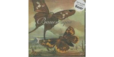 BAUERESQUE
