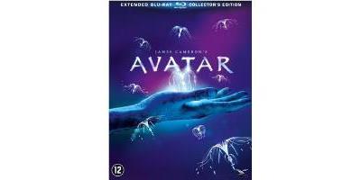 B-AVATAR-ED SP-COLLECTOR-BIL