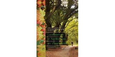 Loofbomen in Nederland en Vlaanderen