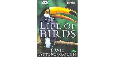 David Attenborough's Life Of Birds