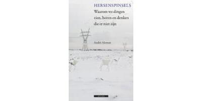 Hersenspinsels