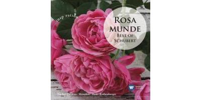 SERIE INSPIRATION: ROSAMUNDE