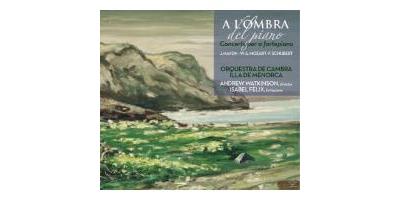 A L OMBRA DEL PIANO
