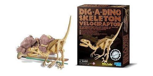 GRAAF-JE-DINOSAURUS-OP (VELOCIRAPTOR)