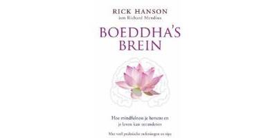 Boeddha`s brein
