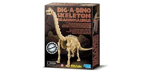 GRAAF-JE-DINOSAURUS-OP (BRACHIOSAURUS)