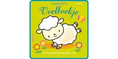Allereerste voelboekje