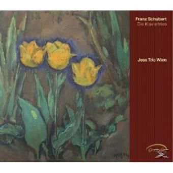 Franz Schubert : The Piano Trios - Franz Schubert - CD album - Achat ...
