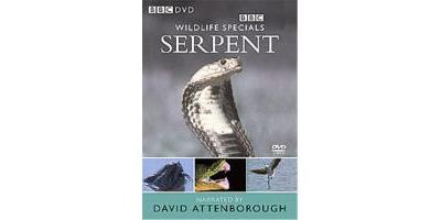 Wildlife Special - Serpent