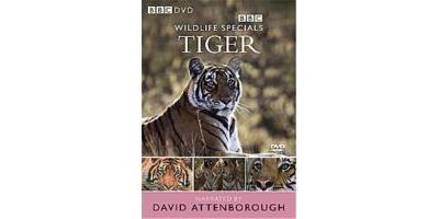 Wildlife Special - Tiger