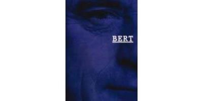 Bert en het beeld