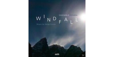 WINDFALL - MUSIC BY HELGE SUNDE