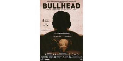 BULLHEAD-RUNDSKOP-BILINGUE