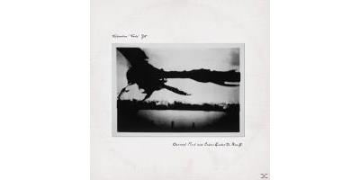 Classical Punk & Echoes Under The B