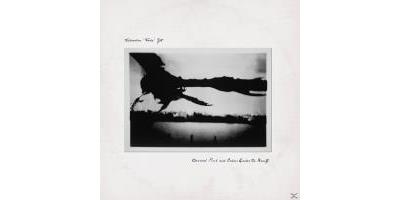 Classical Punk and echoes under the beauty