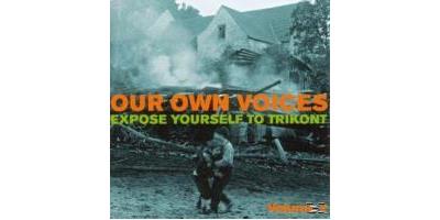 Our Own Voices Vol.2
