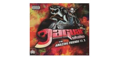 JAGUAR SKILLS & HIS AMAZING FRIENDS