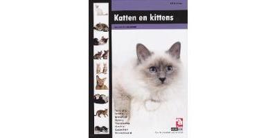 Katten en kittens