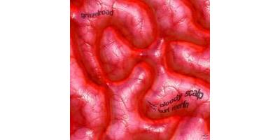 BLOODY SCALP OF BURT MERLIN/LP