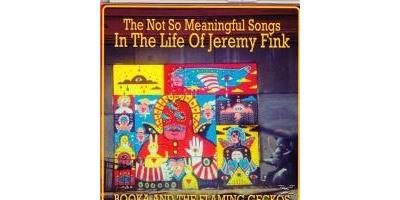 NOT SO MEANINGFUL SONGS IN THE LIFE OF JEREMY FINK