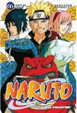 Naruto Català nº 66/72