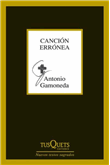 Canción Errónea