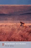 Out of Africa