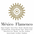 Mexico flamenco