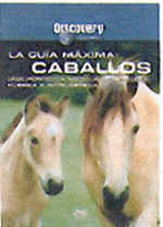 Caballos La guía máxima - DVD