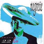 22 grandes éxitos