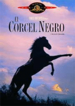 El corcel negro - DVD