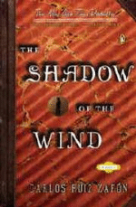The shadow of the wind