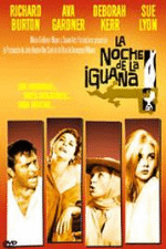 La noche de la iguana - DVD