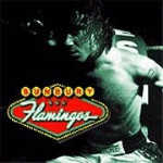 Flamingos