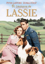 El cachorro de Lassie - DVD