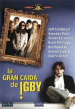 La gran caída de Igby - DVD